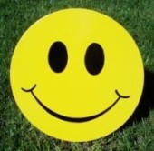 Smileys from Greetings by the Yard, Flamingo Surprise and Cards by the Yard